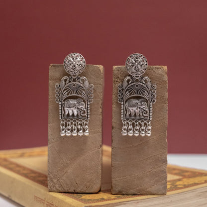 Oxodise Earrings (Pack Of 5)